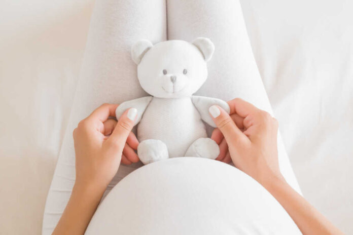 Woman's,Hands,Holding,Little,Smiling,White,Teddy,Bear,On,Lap