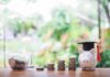 A piggy bank wearing a graduation cap next to stacks of coins