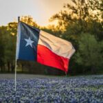 Texas flag waving in a field of bluebonnet flowers during sunset