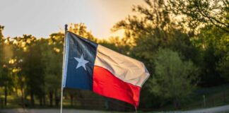 Texas flag waving in a field of bluebonnet flowers during sunset