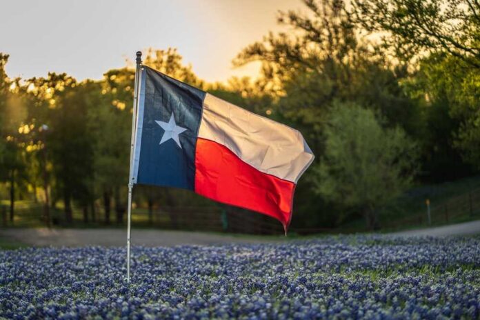 Texas flag waving in a field of bluebonnet flowers during sunset