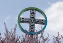Bayer logo displayed on a sign surrounded by blooming flowers