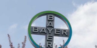 Bayer logo displayed on a sign surrounded by blooming flowers