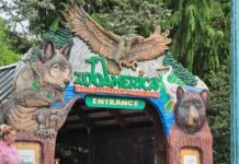 Entrance to ZooAmerica featuring animal sculptures and signage