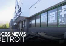 Investigators search for suspects who crashed SUV into Michigan dispensary