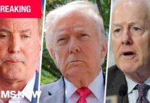 Trump SLAMS GOP Senator as ‘VERY Disloyal’ BREAKING: Trump endorses Ken Paxton in TX Senate race, snubbing incumbent John Cornyn