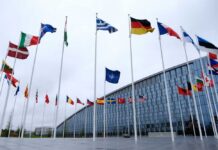Flags of various countries in front of a modern building under a cloudy sky