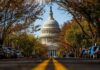 U.S. Capitol dome framed by a tree-lined street
