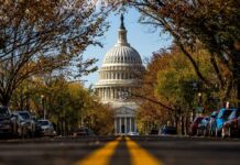 U.S. Capitol dome framed by a tree-lined street