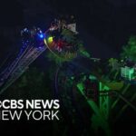Video shows passengers stuck on rider at Adventureland amusement park