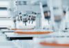 Bird Flu Hits Last Continent Automated laboratory equipment with robotic arms dispensing liquids into petri dishes
