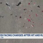 Paul Pelosi facing charges after hit and run