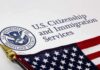 Boardwalk Assault Ignites Immigration Debate U.S. Citizenship and Immigration Services document with American flag