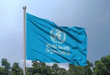 WHO Declares Cruise Outbreak Over Flag of the World Health Organization waving against a blue sky