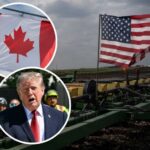 Trump Slams Brakes: 50% Tariffs Paused Trump says new U.S. tariffs on Canada paused for 3 days