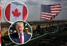 Trump Slams Brakes: 50% Tariffs Paused Trump says new U.S. tariffs on Canada paused for 3 days