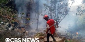 Helicopter crash in Kenya kills four Americans