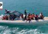 Rescue Chaos As Ferry Overturns Ferry carrying 260 people capsizes off coast of northern Cyprus