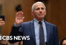 Fauci’s Fate Moves To Justice Details on Senate committee vote to hold Dr. Anthony Fauci in contempt