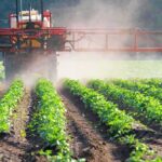 Crop sprayer applies mist over green rows of plants