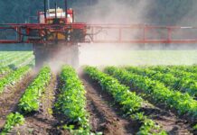 EPA Asked To Review Cancer Concerns Crop sprayer applies mist over green rows of plants