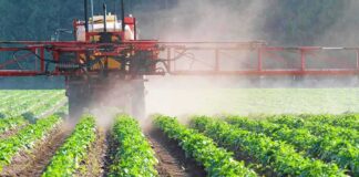 Crop sprayer applies mist over green rows of plants