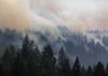Wildfire Explodes Near New Hogan Lake Smoke drifting over a dense conifer forest
