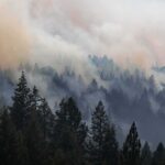 Smoke drifting over a dense conifer forest