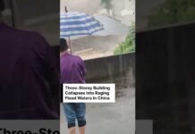 Flood Chaos: Five-Story Vanishes In Seconds WATCH: Three-Storey Building Collapses Into Raging Flood Waters In China | GBS News | AL1C