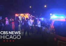 Park Chaos: 15 Shot, Killer Vanishes Search on for whoever opened fire on crowd in Washington Park