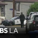 LAPD officer shoots and kills man allegedly armed with a pruning pole