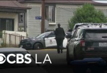 LAPD officer shoots and kills man allegedly armed with a pruning pole