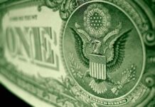 Global Scam Compounds Raided – Billions Frozen Great Seal eagle on U.S. one-dollar bill