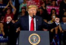 Tax-Free Diesel Hits Highways Donald Trump speaking at a rally podium with arms raised