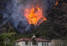 Palisades Report Reveals Alarming Warning Delays Wildfire burning on a hillside near homes